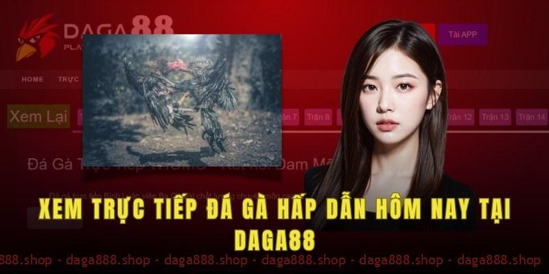 Dịch vụ xem livestream trực tiếp đá gà trên website daga88