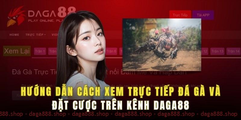 Hướng dẫn cách xem trực tiếp đá gà và đặt cược trên kênh daga88