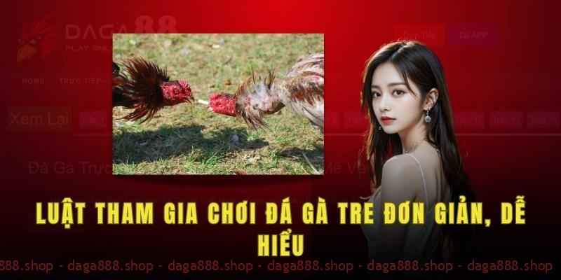 Luật tham gia chơi đá gà tre đơn giản, dễ hiểu