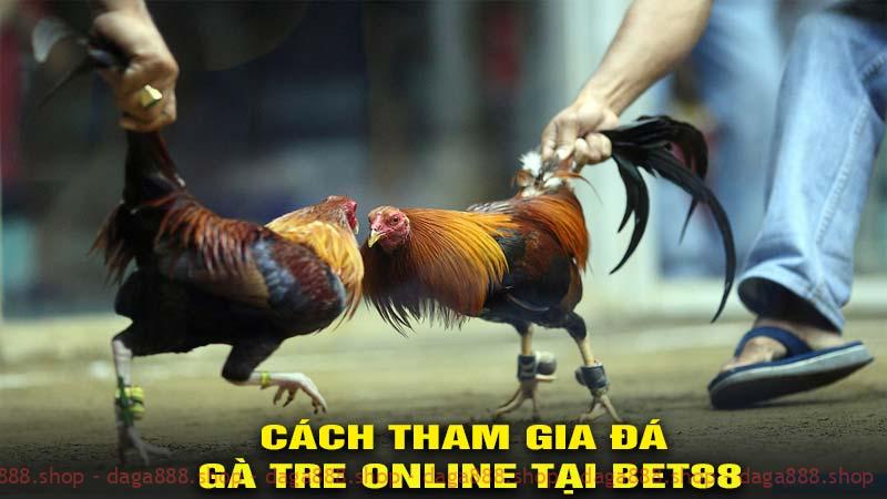 Cách tham gia đá gà tre online tại bet88 dễ dàng