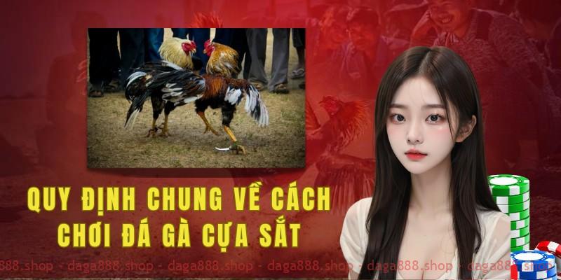 Quy định chung về cách chơi đá gà cựa sắt