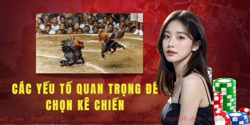 Các yếu tố quan trọng để chọn kê chiến