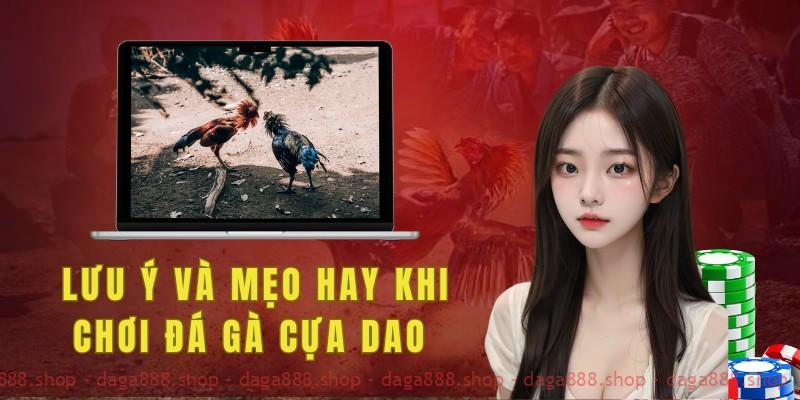 Lưu ý và mẹo hay khi chơi đá gà cựa dao 