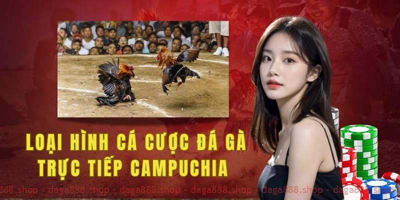 Các loại hình tham gia cá cược đá gà trực tiếp Campuchia hiện nay