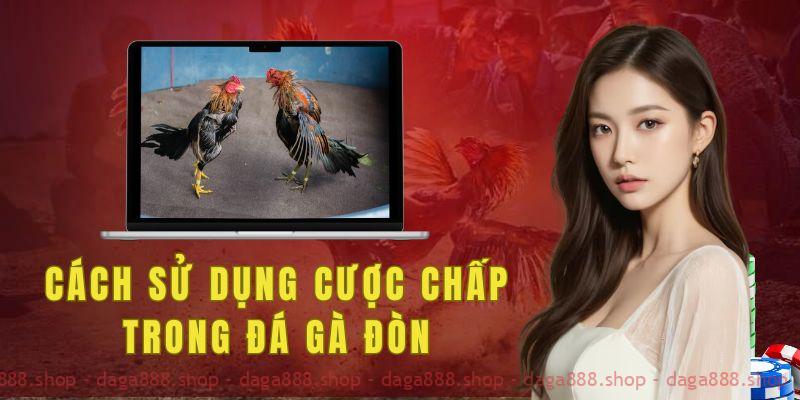 Cách sử dụng cược chấp trong đá gà đòn