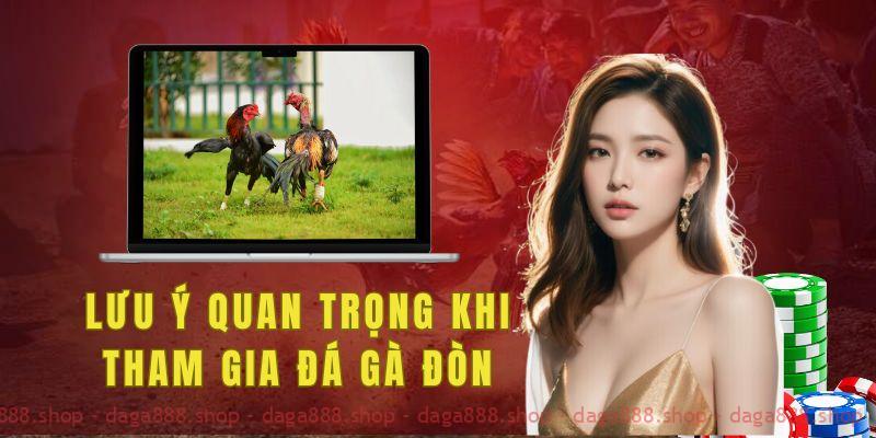 Lưu ý quan trọng khi tham gia đá gà đòn